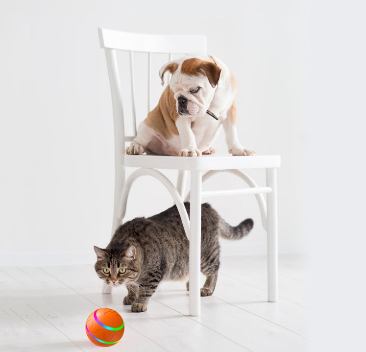 Smart Interactive Cat Ball Toy - USB Rechargeable Self-Rotating